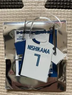 Item thumbnail for item b0892a14-e594-40b5-ae6c-62b35c203379