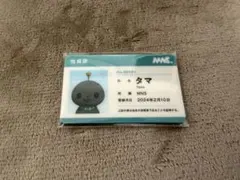 教育番組 MNS社員証カードセット （ハイクオリティver.） タマ - メルカリ