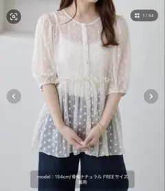 【apres jour clair】花柄刺繍ペプラムトップスのサムネイル