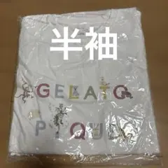新品ジェラートピケgelatopique2024福袋2点セットルームウエアのサムネイル