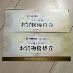 ヤマダ電機　お買い物優待券　30000円分