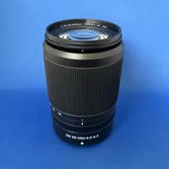 2025年最新】nikkor z dx 50-250mmの人気アイテム - メルカリ