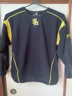 福岡ソフトバンクホークス