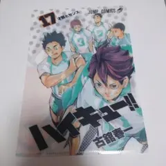 ハイキュー!! 17巻 JC カバークリアファイル ハイキュー!! 17巻 JC カバークリアファイル - メルカリ