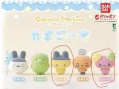 たまごっち カプセルフロッキーズ　まめっち　ふらわっち