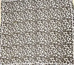 Item thumbnail for item 386352a3-ffd0-445c-b07c-2badec55fddc