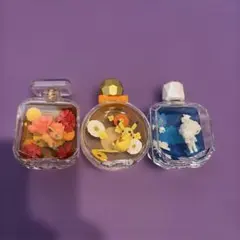 ピカチュウ　ロコン　アローラロコン　リーメント　プチフルール