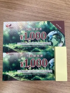 カラオケ　コシダカホールディングス 株主優待券 2000円分のサムネイル