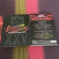 LIVE-GYM Pleasure 2013 ENDLESS SUMMER