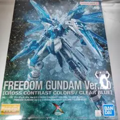 2025年最新】mg フリーダム クリアブルーの人気アイテム - メルカリ