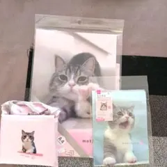 Item thumbnail for item 204c065b-3ed9-44d6-b338-052db2f5cd8c