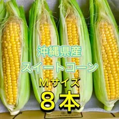糖度20度 沖縄県久米島産 白いとうもろこし スイートコーン 訳あり品