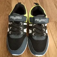 お値下げしました！　新品未使用　pegaso　スニーカー　19cm