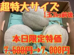 超希少・幻のメロン】茨城県産 優香（ゆうか） 特大3Lサイズ 2個 送料