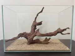 HX-196 流木 マシンガンウッド ホーンウッド アクアリウム ブランチ