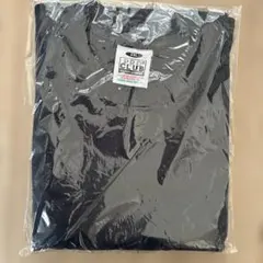 PRO CLUB HEAVY WEIGHT Tシャツ 2XL ネイビー