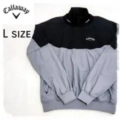 Item thumbnail for item fa10edb6-257f-4b2c-89ce-36904f08f54a