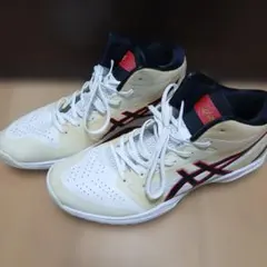 せ*︎様 美品アシックスGELHOOP V11　27cm