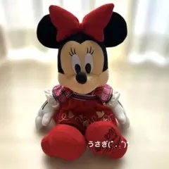 2025年最新】ベリーちゃん ミニーの人気アイテム - メルカリ