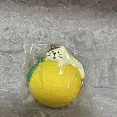 デコレ　コンコンブル　子猫とゆず