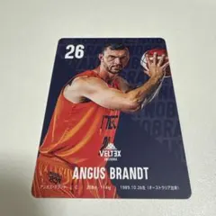 ベルテックス静岡 アンガスブラント 選手