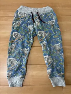 ゴートゥーハリウッド