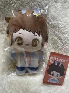 あんスタ　中国　TRIPぬい　光