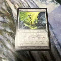 棘噛みの杖 Thornbite Staff MOR