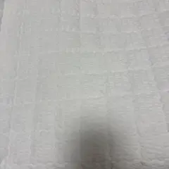 Raisha 敷きパッド ホワイト　韓国イブル　ダブル