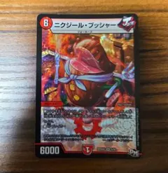 ＊美品＊ ニクジールブッシャー