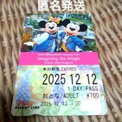 ディズニー リゾートライン フリーきっぷ リゾラ イマジニングザマジック おとな