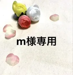 m様専用