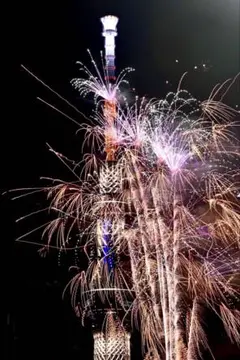 東京スカイツリーと花火の夜景写真