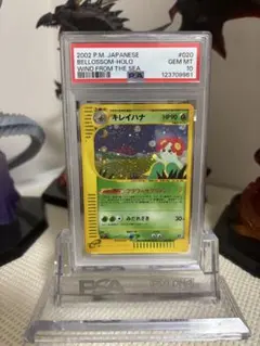 キレイハナ eカード PSA10 ホロ 2002 キレイハナ PSA 10 ホロ - カルドバ