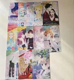 BL まとめ売り】ランダムBL本 26冊 - メルカリ