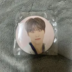 SEVENTEEN セブチ ディノ 24H 缶バッジ 缶バッチ