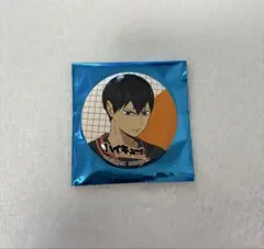 ハイキュー!! TOUCH THE DREAM 缶バッチコレクションC 影山飛雄