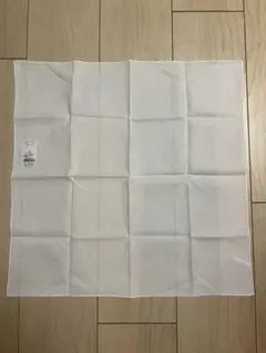 Item thumbnail for item fd007a2b-5559-4a8c-b4ed-f22451e309e9