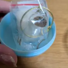 うちの子のけだまだま　シャム猫