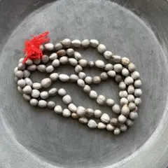 Item thumbnail for item 5778bbdd-e78e-419b-ab98-7b318f67ede0