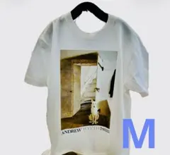 【新品】Andrew Wyeth アンドリューワイエス　灯台　半袖Tシャツ(M)