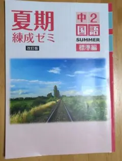夏期　練成ゼミ　α 国語　中3 夏期 練成ゼミ α 国語 中3