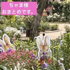 ロングスカート ブラック　4L