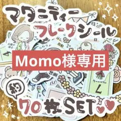 *⋆約70枚!マタニティーフレークシールset⋆*