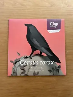 Item thumbnail for item 45f3a4d4-bc4e-4ad2-b21f-1d7d27ba5dcd