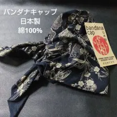 Item thumbnail for item 70f086ad-0fd6-4dfd-909e-9c7c25ca5c4f