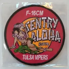 125FS SENTRY ALOHA 2014 パッチ