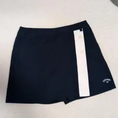 Item thumbnail for item 8d8182af-fec4-4a4b-a058-fbe77e4408cb