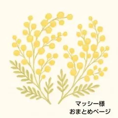 マッシー様 リクエスト 2点 まとめ商品