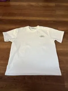 2026年最新】ALO Yoga カラー：ホワイト系 メンズ Tシャツの人気
